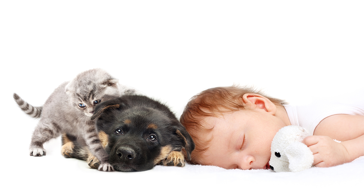 Creating a Safe Home: Candle Safety for Kids and Pets