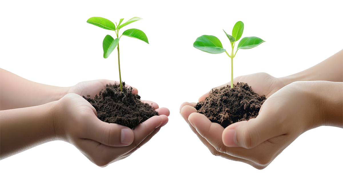 Sustainability